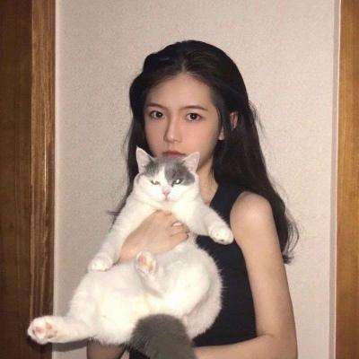 摩托荣耀游戏